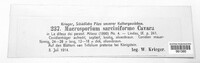 Macrosporium sarcinaeforme image
